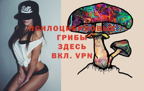 стаф Касимов